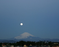 海辺の家のサムネイル