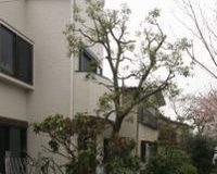 緑とロフトのある家のサムネイル